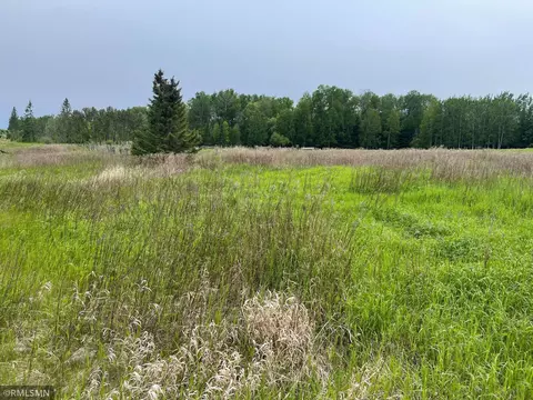 25617 North Rd, Trout Lake Twp, MN 55709