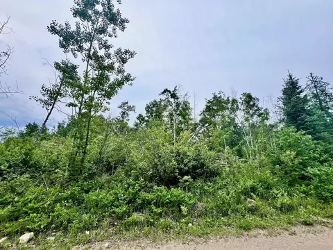 tbd Shuster Rd, Orr, MN 55771 photo 2