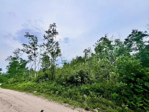 tbd Shuster Rd, Orr, MN 55771 photo 4