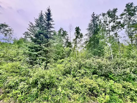 tbd Shuster Rd, Portage Twp, MN 55771