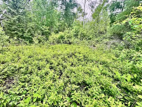 tbd Shuster Rd, Orr, MN 55771 photo 6