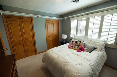 Bedroom - 701 E Oak Ave, Olivia, MN 56277 photo 4 of 8