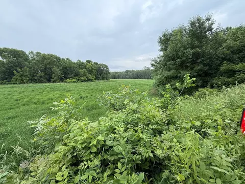 17001 Elmore Ave, Faribault, MN 55021