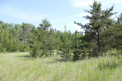 tbd Goranson Ct NW, Bemidji, MN 56601