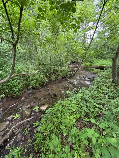 tbd 710th Ave, River Falls, WI 54022 photo 17