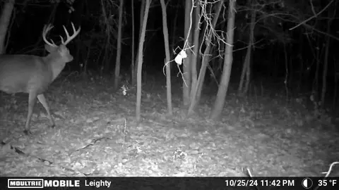 tbd 710th Ave, River Falls, WI 54022 photo 8