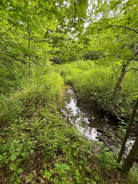 tbd 710th Ave, River Falls, WI 54022 photo 18