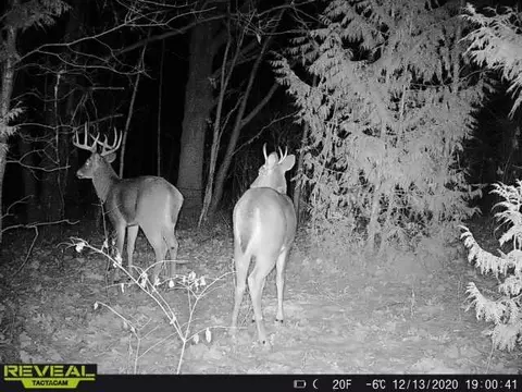 tbd 710th Ave, River Falls, WI 54022 photo 12