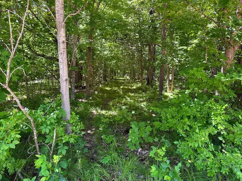 32 Nnn Smokey Ln, Everts Twp, MN 56515