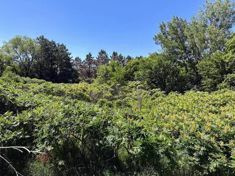 3 Nnnn Smokey Ln, Everts Twp, MN 56515