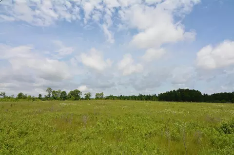 13247 130th Ave, Milaca, MN 56353 photo 8