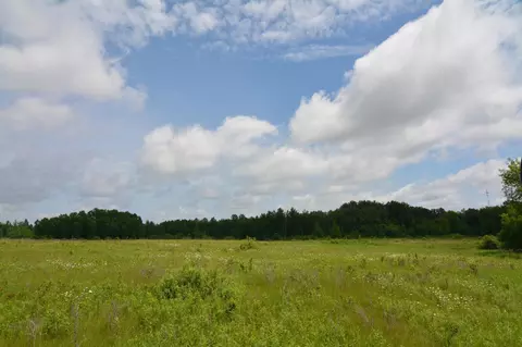 13247 130th Ave, Milaca, MN 56353 photo 7