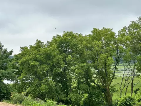 tbd County Road 43, Chaska, MN 55318