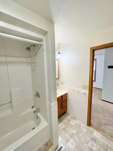 212 E Sanborn St, Springfield, MN 56087 photo 23