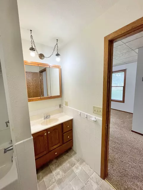 212 E Sanborn St, Springfield, MN 56087 photo 24