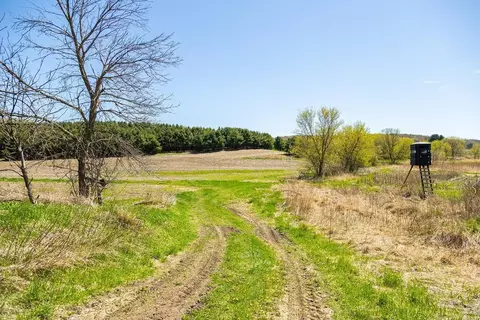 0 Steinke Rd, Canton, WI 54755 photo 13