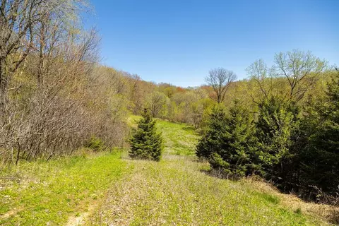 0 Steinke Rd, Canton, WI 54755 photo 42