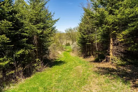 0 Steinke Rd, Canton, WI 54755 photo 28