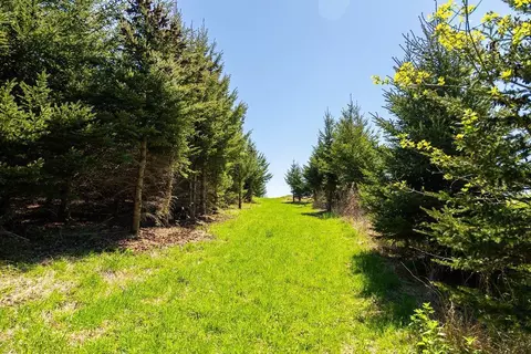 0 Steinke Rd, Canton, WI 54755 photo 35