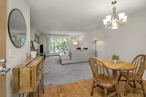 3155 Coachman Rd #387, Eagan, MN 55121