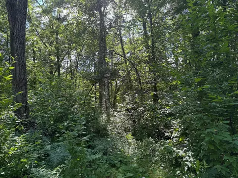 Nnn Blue Ridge Drive, Breezy Point, MN 56472
