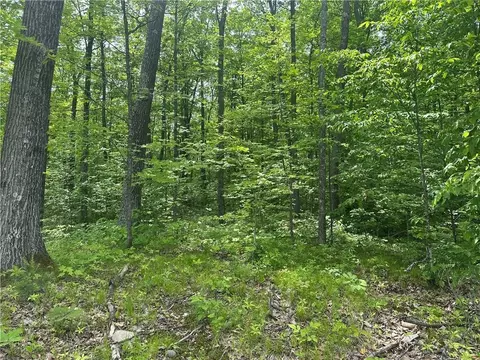 10191 N Hardwood Hls, Hayward, WI 54843