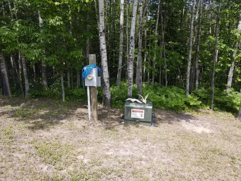Other - 41251 Turtle Lake Rd, Bigfork, MN 56628 photo 9 of 10