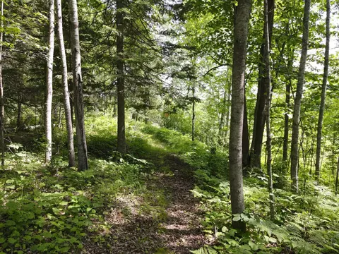 Exterior - 41251 Turtle Lake Rd, Bigfork, MN 56628 photo 7 of 11