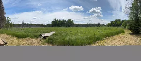 Other - 41251 Turtle Lake Rd, Bigfork, MN 56628 photo 5 of 10