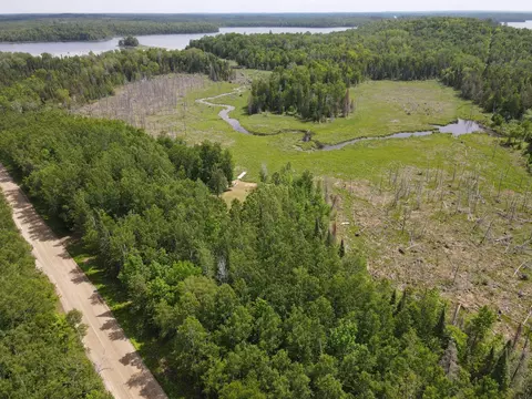 View/Area - 41251 Turtle Lake Rd, Bigfork, MN 56628 photo 3 of 3