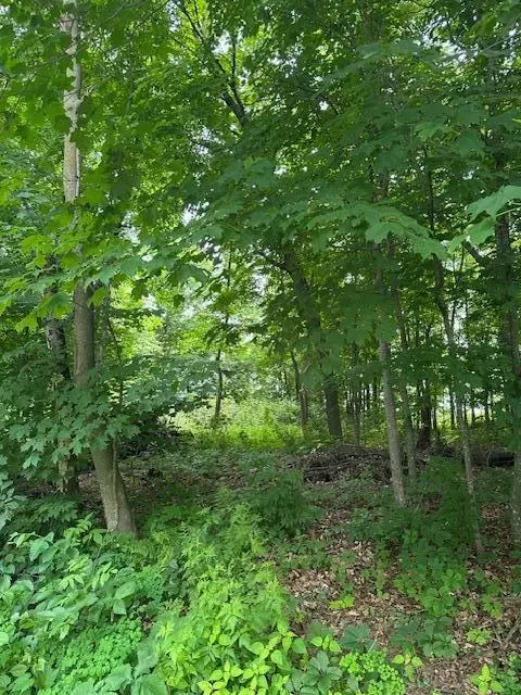 Nnn 170th Avenue, Balsam Lake, WI 54824