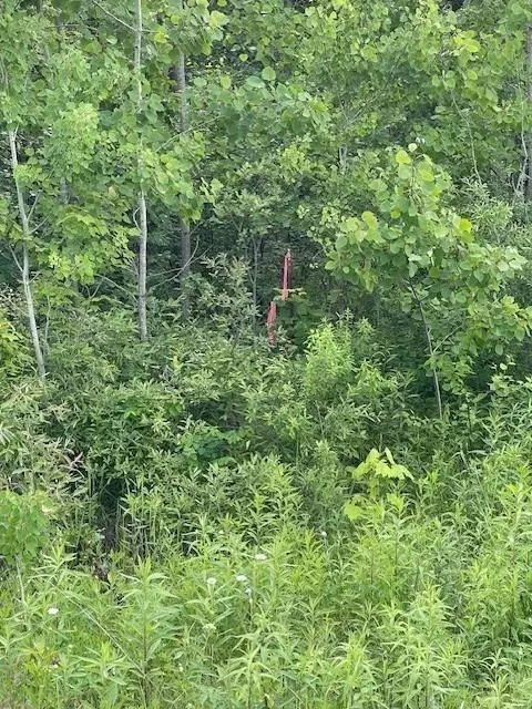tbd Parcel I Fox Rd, Hinckley, MN 55037