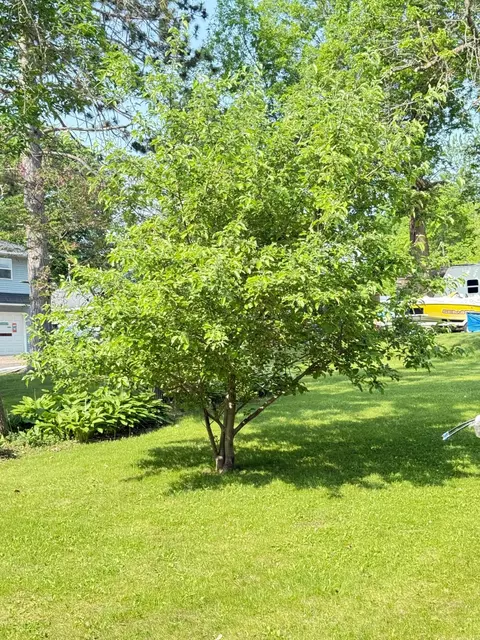 Exterior - 301 Maple St W, Frederic, WI 54837 photo 5 of 6