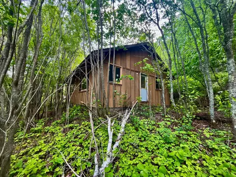 111 Wakeman Bay Rd, Grand Rapids, MN 55744