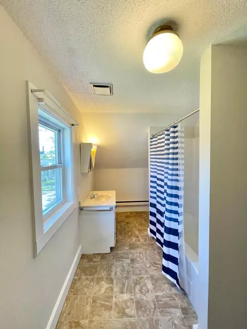 422 E Sanborn St, Springfield, MN 56087 photo 28