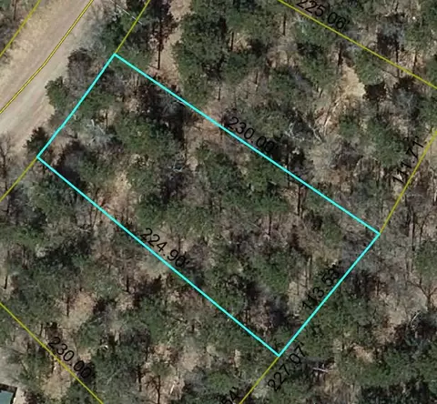 lot31 Great Bear Psge, Danbury, WI 54830