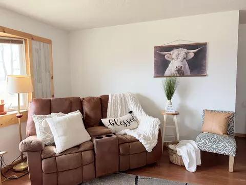 Living - 44034 County 11, Bertha, MN 56437 photo 3 of 3