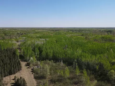 tbd Sand Rivers Rd, Clover Twp, MN 55037