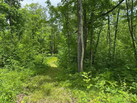tbd Tamarac Rd, Onamia, MN 56353 photo 37