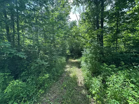 tbd Tamarac Rd, Onamia, MN 56353 photo 16