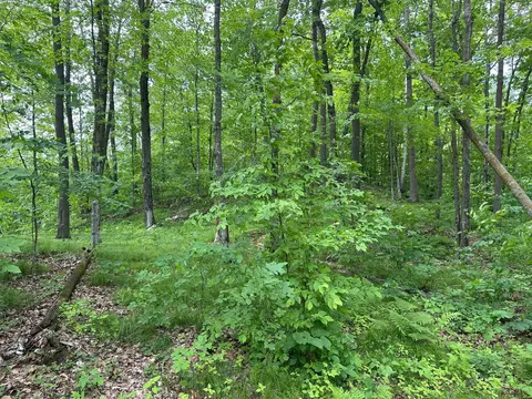 tbd Tamarac Rd, Onamia, MN 56353 photo 43