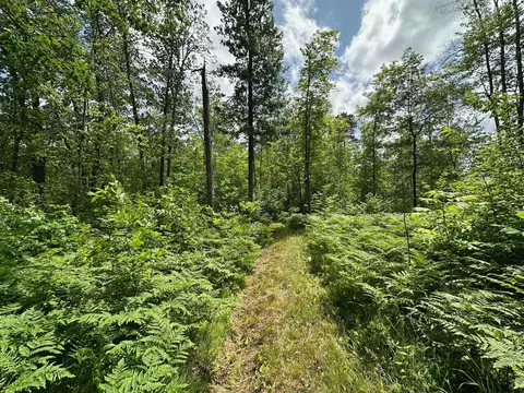 tbd Tamarac Rd, Onamia, MN 56353 photo 24
