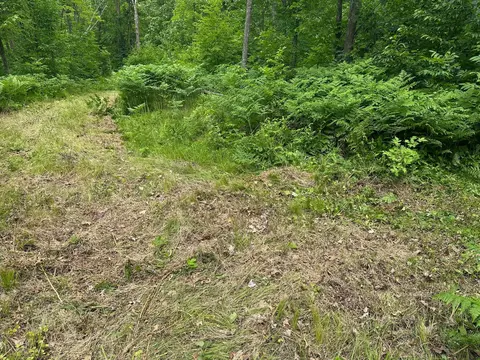 tbd Tamarac Rd, Onamia, MN 56353 photo 33