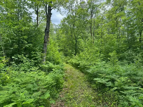 tbd Tamarac Rd, Onamia, MN 56353 photo 34