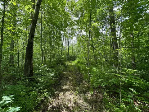 tbd Tamarac Rd, Onamia, MN 56353 photo 3