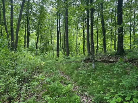 tbd Tamarac Rd, Onamia, MN 56353 photo 44