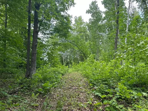 tbd Tamarac Rd, Onamia, MN 56353 photo 45