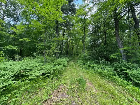 tbd Tamarac Rd, Onamia, MN 56353 photo 21