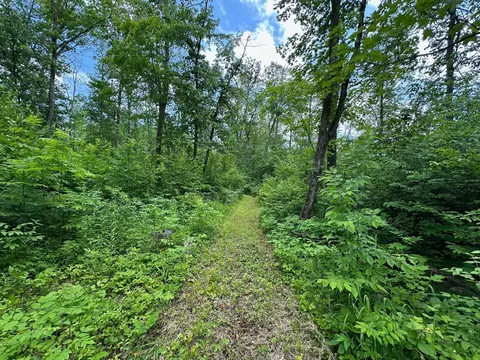 tbd Tamarac Rd, Onamia, MN 56353 photo 10