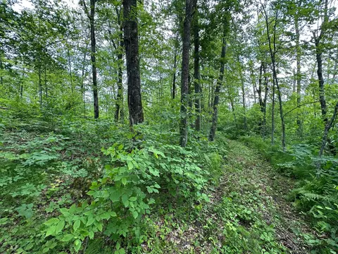 tbd Tamarac Rd, Onamia, MN 56353 photo 18